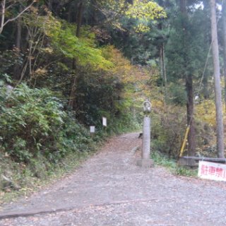 2017.11.19-15
