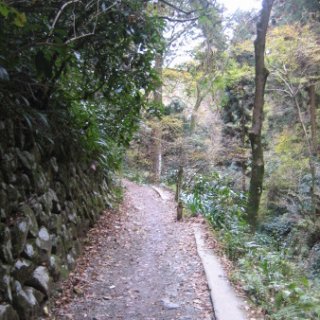 2017.11.19-30