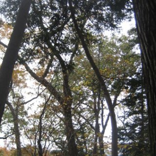 2017.11.19-35