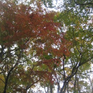 2017.11.19-37