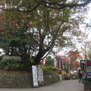 2017.11.19-40