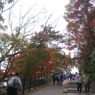 2017.11.19-41