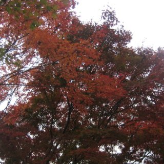 2017.11.19-42