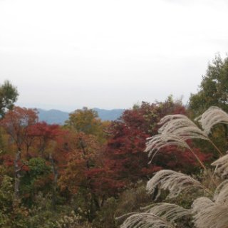 2017.11.19-43