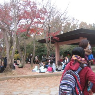 2017.11.19-44