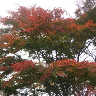 2017.11.19-47