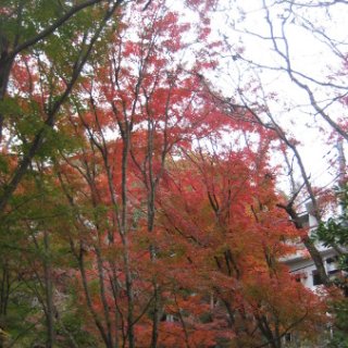 2017.11.19-50