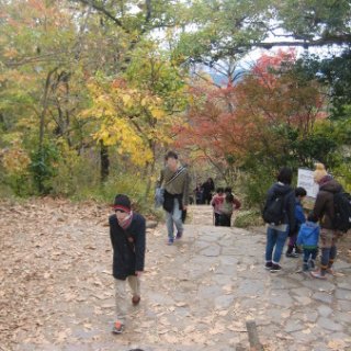 2017.11.19-52