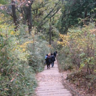 2017.11.19-54