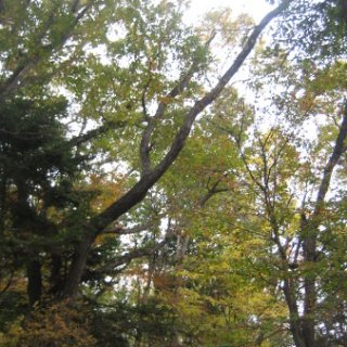 2017.11.19-56