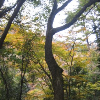2017.11.19-57