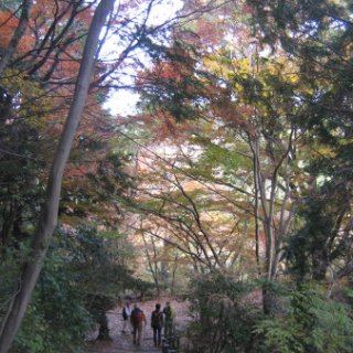 2017.11.19-60