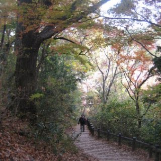 2017.11.19-61