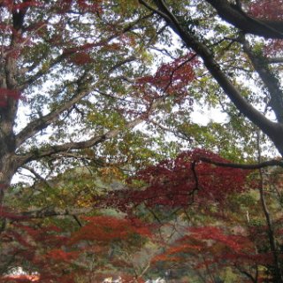 2017.11.19-62