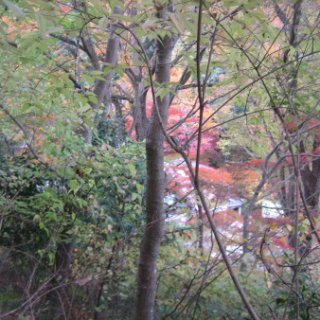 2017.11.19-63