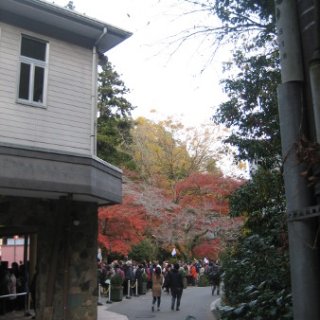 2017.11.19-65