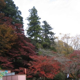 2017.11.19-66