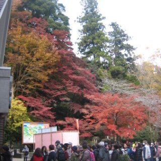 2017.11.19-67