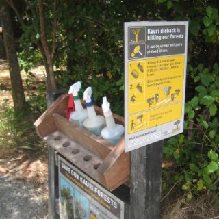 nz2018-015
