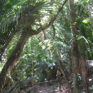 nz2018-016