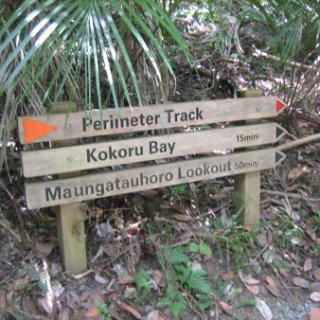 nz2018-017
