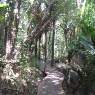 nz2018-018