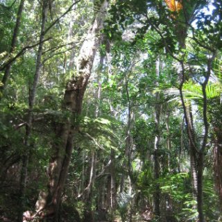 nz2018-021