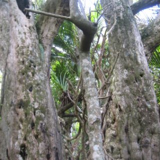 nz2018-022
