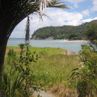 nz2018-028