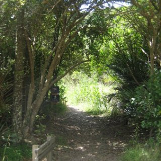nz2018-031