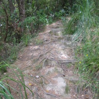 nz2018-034