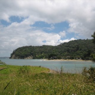nz2018-029