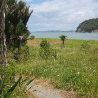 nz2018-030