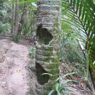 nz2018-037