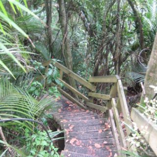 nz2018-048