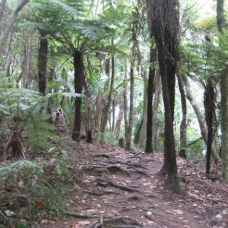 nz2018-039
