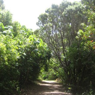 nz2018-052