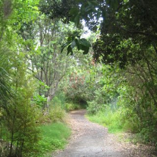 nz2018-054