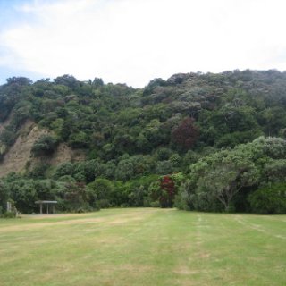 nz2018-061
