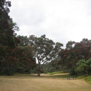 nz2018-063