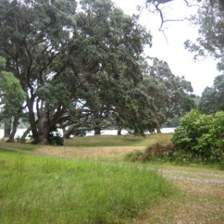 nz2018-064