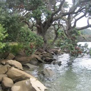nz2018-065