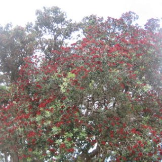 nz2018-066