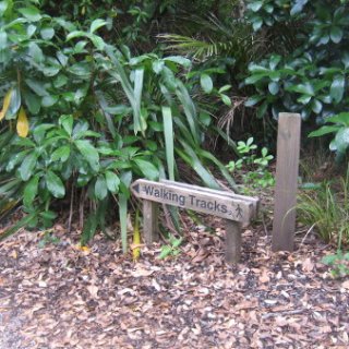 nz2018-067