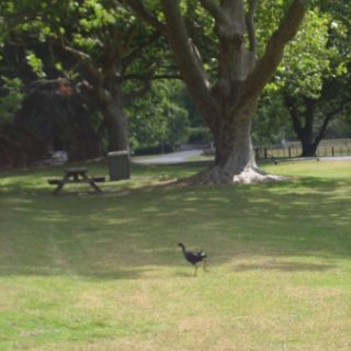 nz2018-072