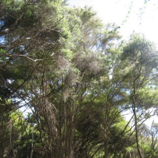 nz2018-079