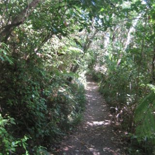 nz2018-080