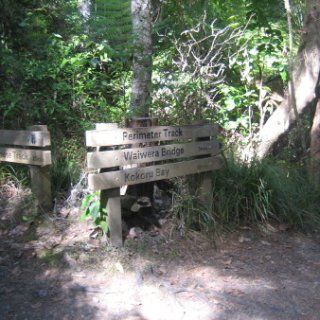 nz2018-081