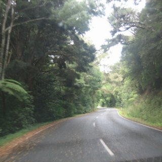 puketi-2018-nz-02