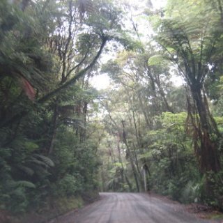 puketi-2018-nz-06